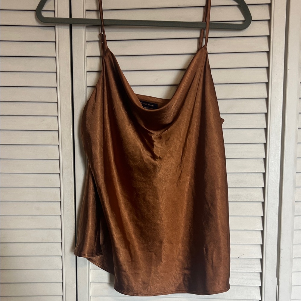 Skies Are Blue Satin Brown Camisole
